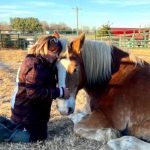 Tara Higgins - Owner of Horse and Soul Counseling